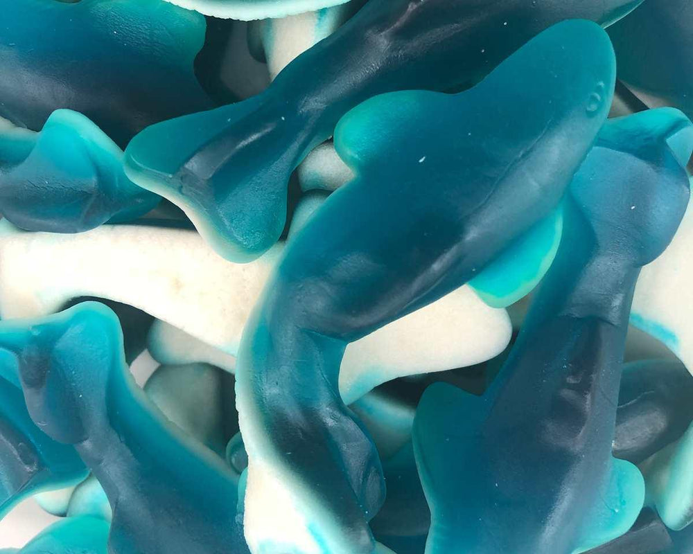 Blue Raspberry Gummi Sharks - CandyFavorites