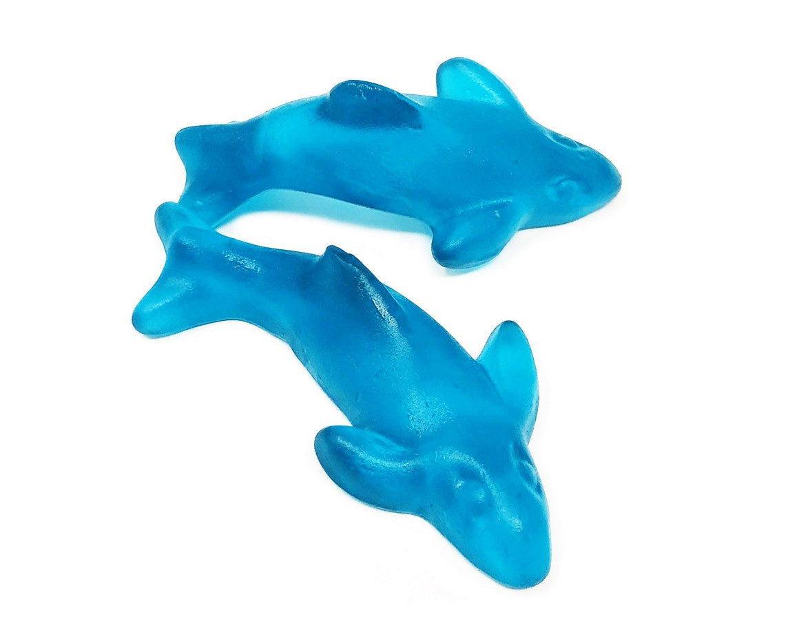 Gummi Blue Dolphins - CandyFavorites