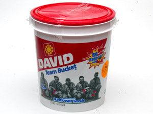 Sunflower Seeds - Bucket - CandyFavorites